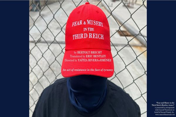 Fear and Misery in the Third Reich Show Information