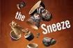 The Sneeze