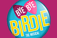 Bye Bye Birdie