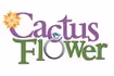Cactus Flower