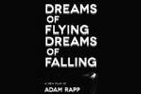 Dreams of Flying Dreams of Falling