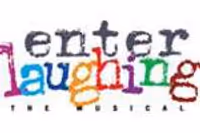 Enter Laughing: The Musical