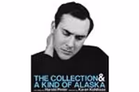 The Collection & A Kind of Alaska: Two Plays by Harold Pinter