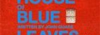 The House of Blue Leaves