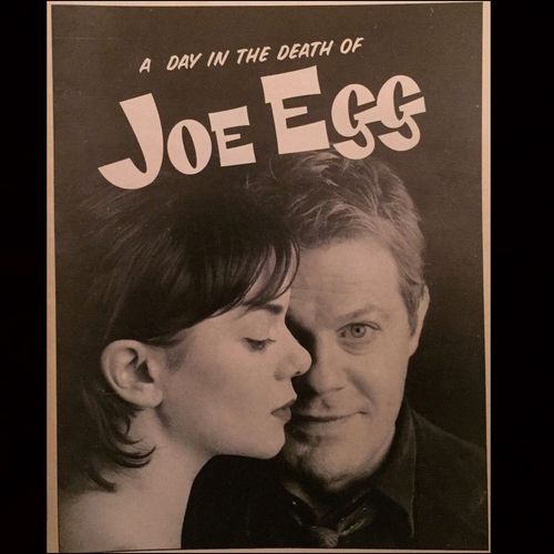 A Day in the Death of Joe Egg