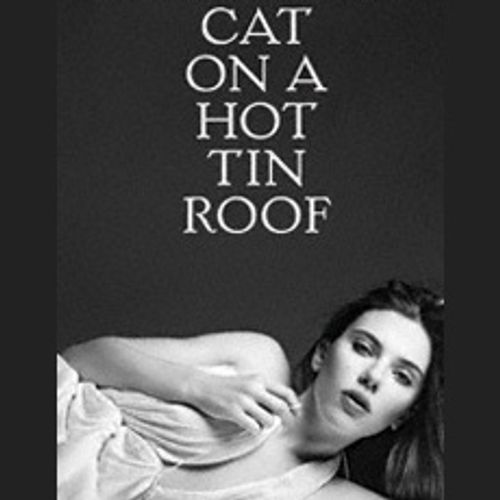 Cat on a Hot Tin Roof