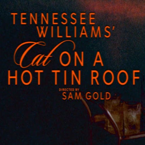 Cat on a Hot Tin Roof