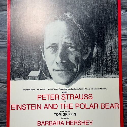 Einstein and the Polar Bear