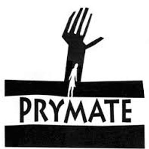 Prymate