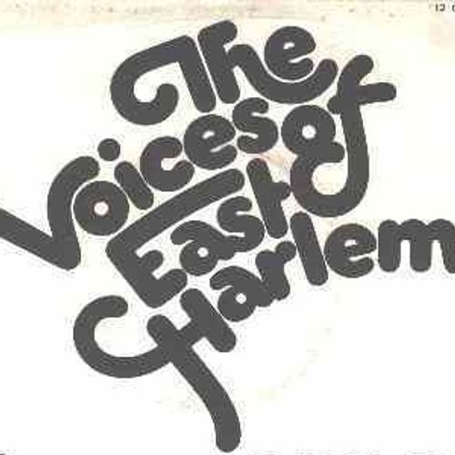 The Boys Choir of Harlem and Friends