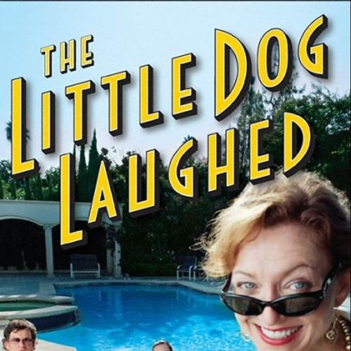 The Little Dog Laughed