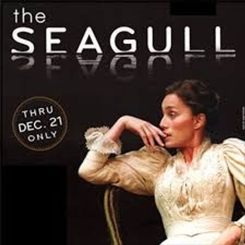 The Seagull