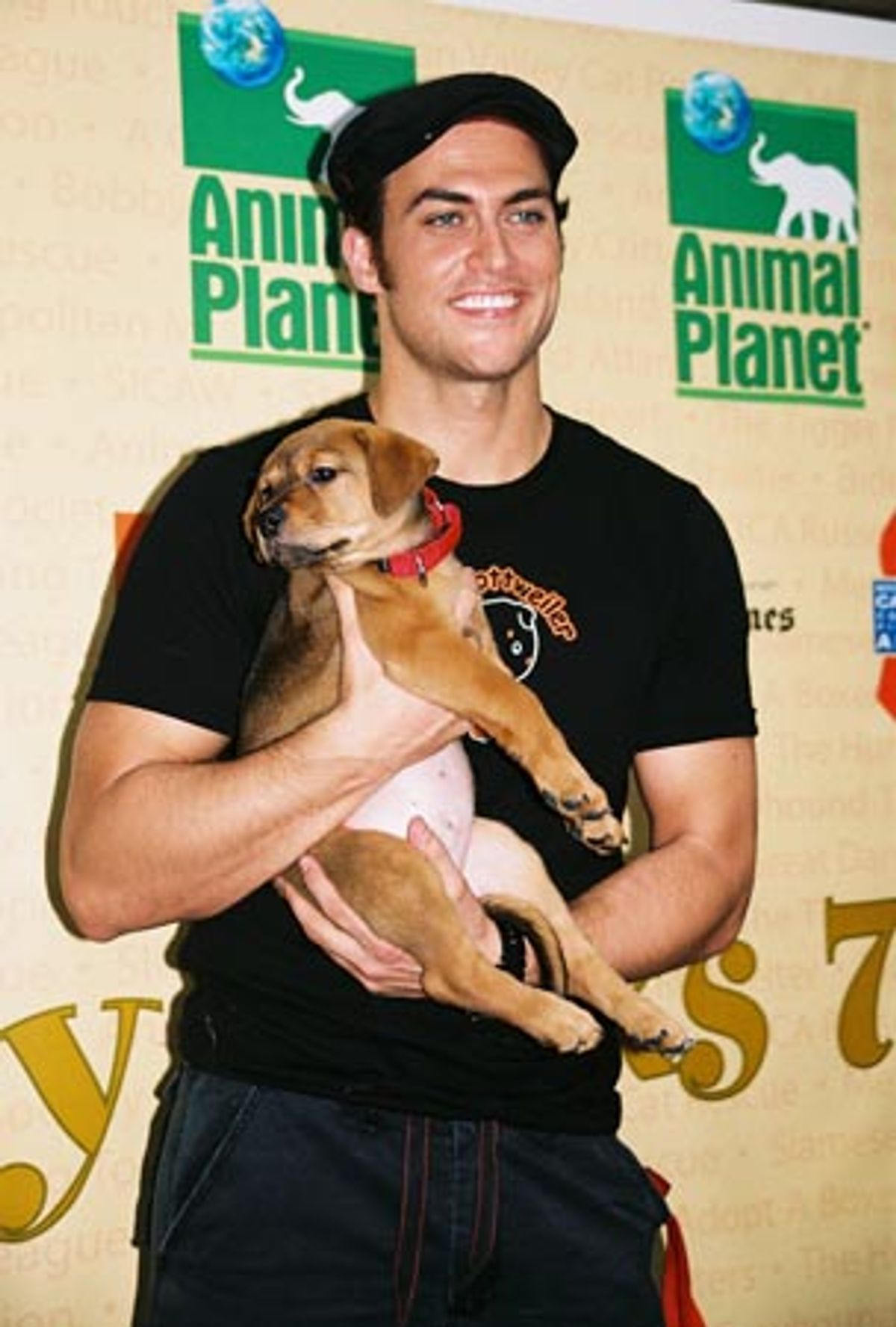 
Cheyenne Jackson (All Shook Up)  at 