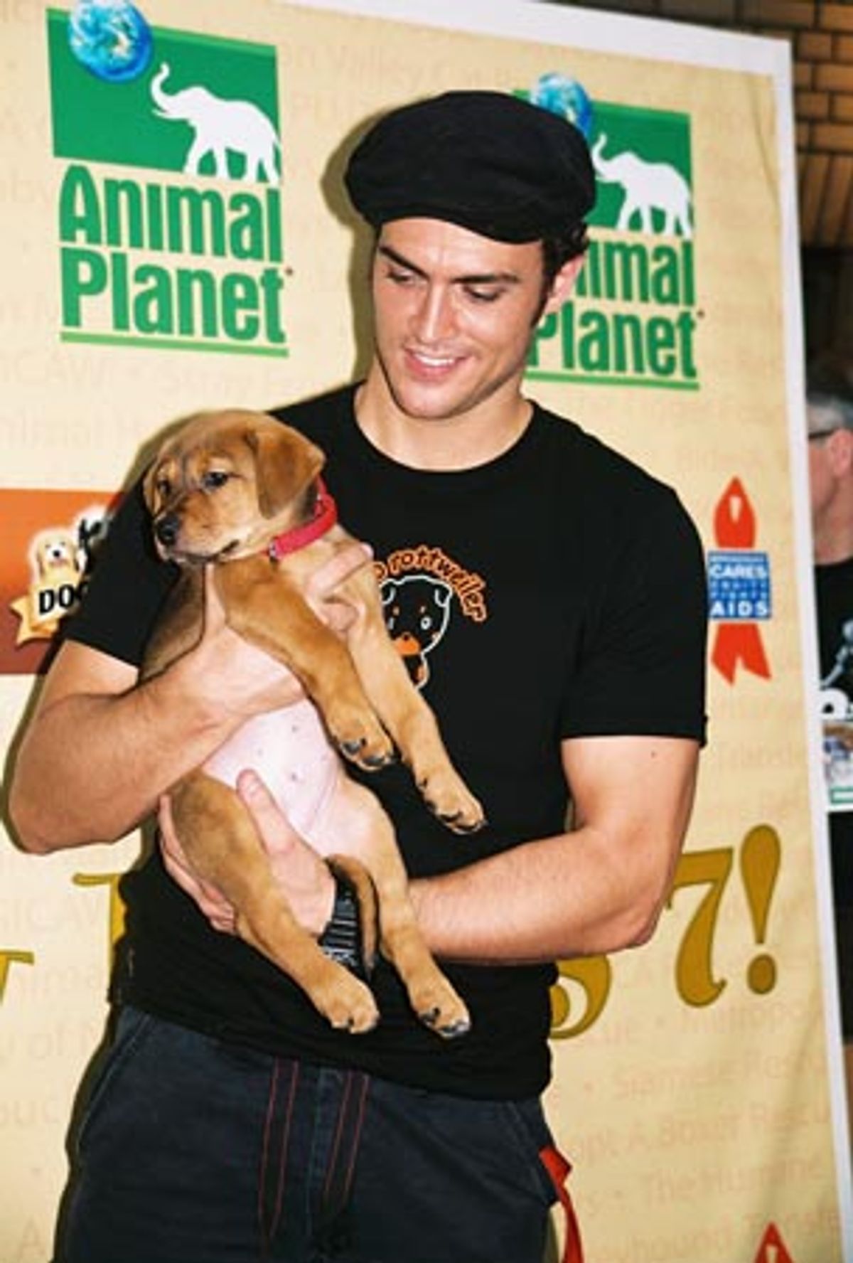 Cheyenne Jackson (All Shook Up) at 