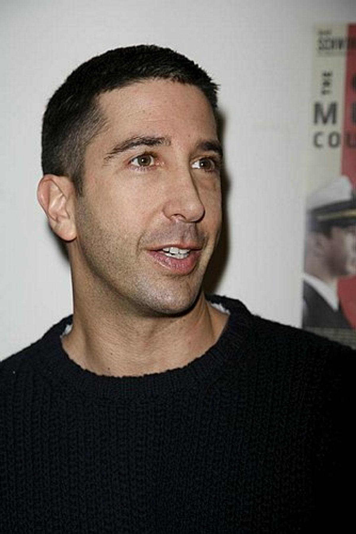 David Schwimmer at 