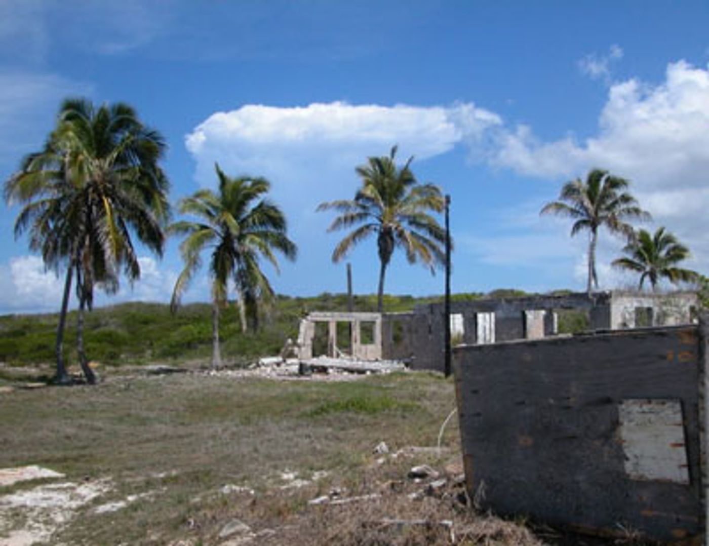 Photo Coverage: Broadway takes to the Sea: Jamie McGonnigal  Image