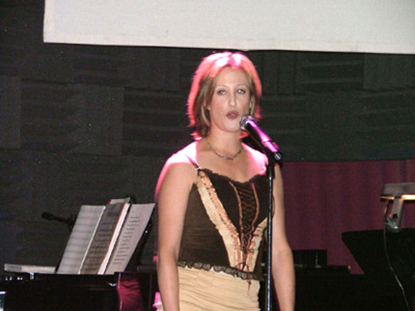 Photo Coverage: Standing Ovations (Performances)  Image