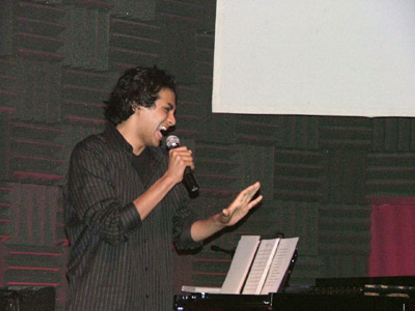 Photo Coverage: Standing Ovations (Performances)  Image