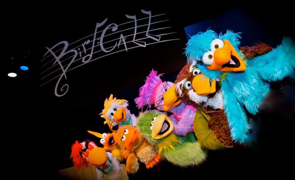 The flock of Bird Call the Musical line up for a photo.
© 2018 CML 5th Avenue Studios 4
