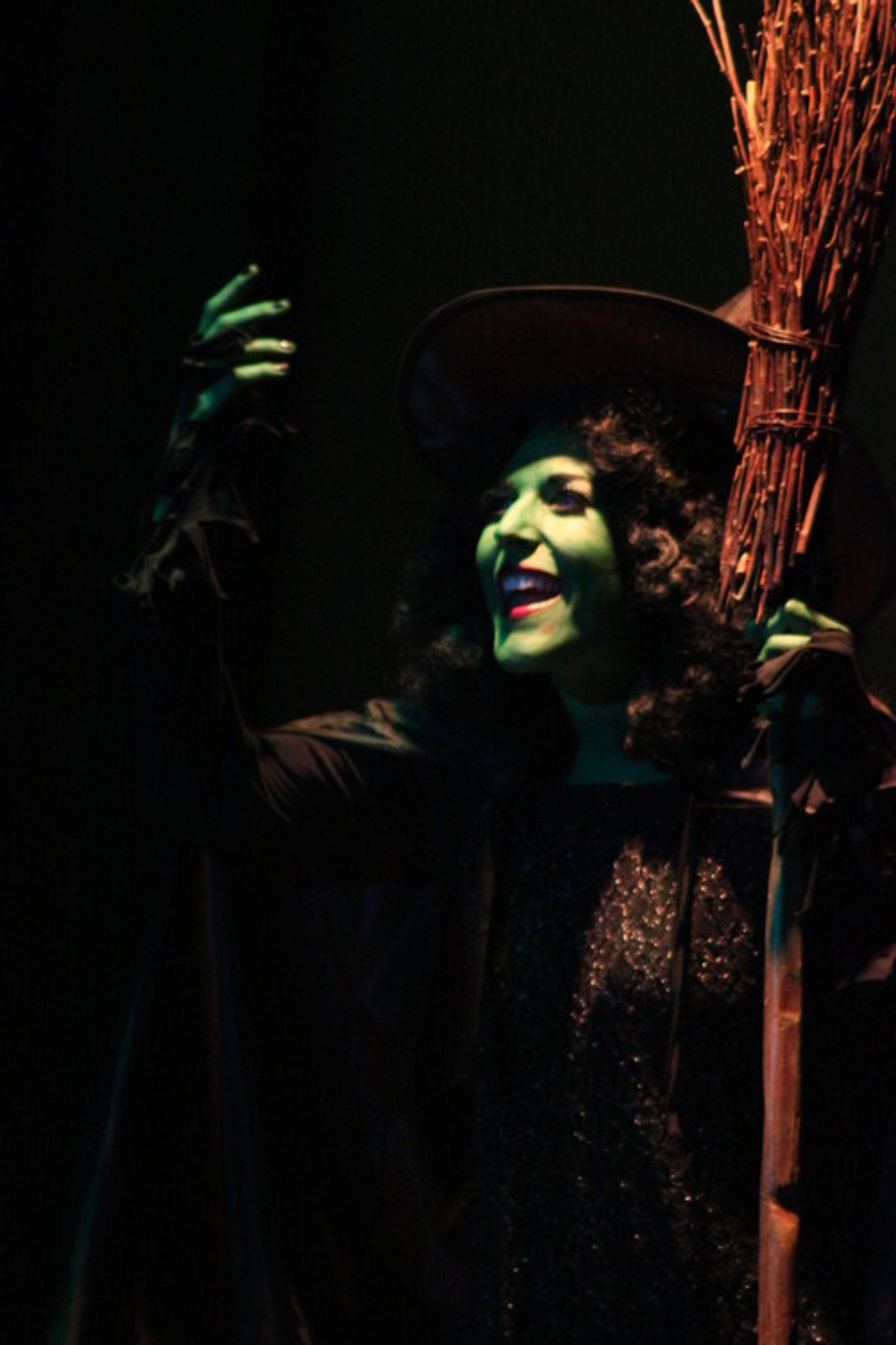 The Wicked Witch The Wicked Witch