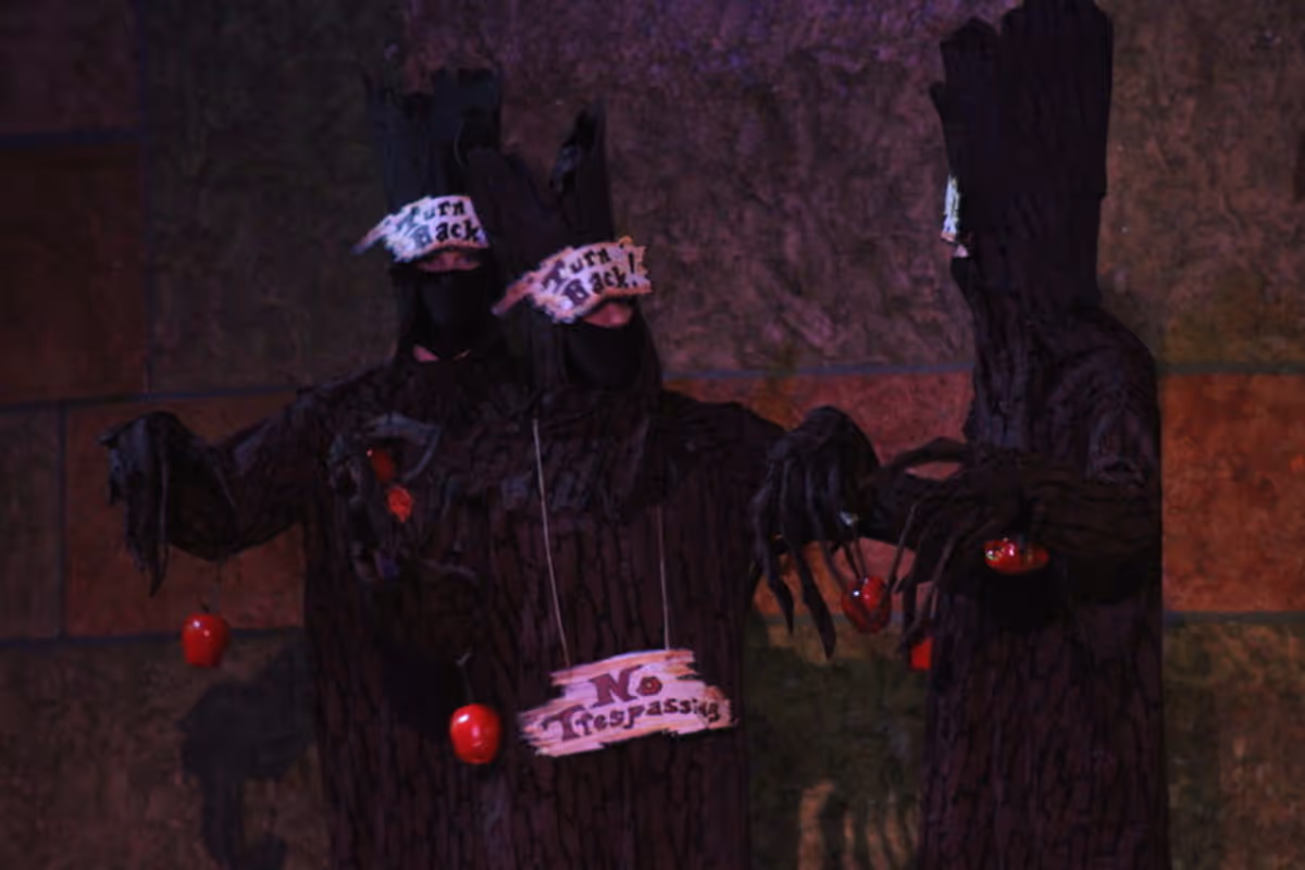 The Trees The Trees