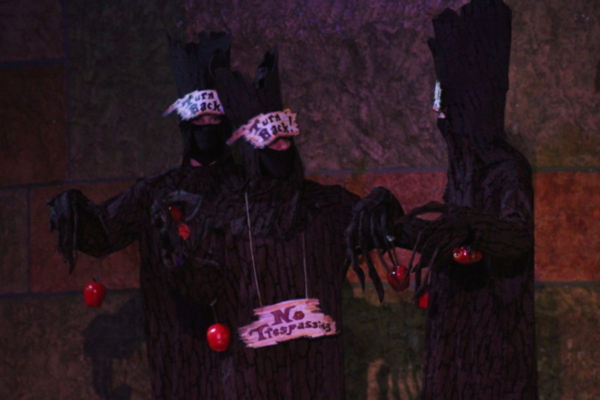 The Trees The Trees