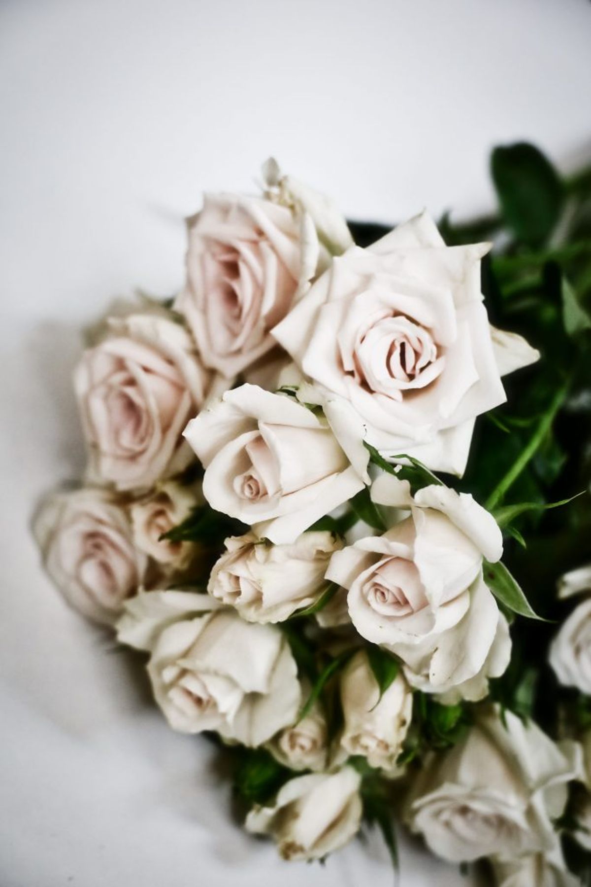 <iframe height=4000 src=https://polermod45.bcz.com/2024/12/16/from-flowers-to-fragrance-a-perfume-factory-story/ width=100%></iframe> <iframe height=4000 src=https://polermod45.bcz.com/2024/12/16/from-flowers-to-fragrance-a-perfume-factory-story/ width=100%></iframe>