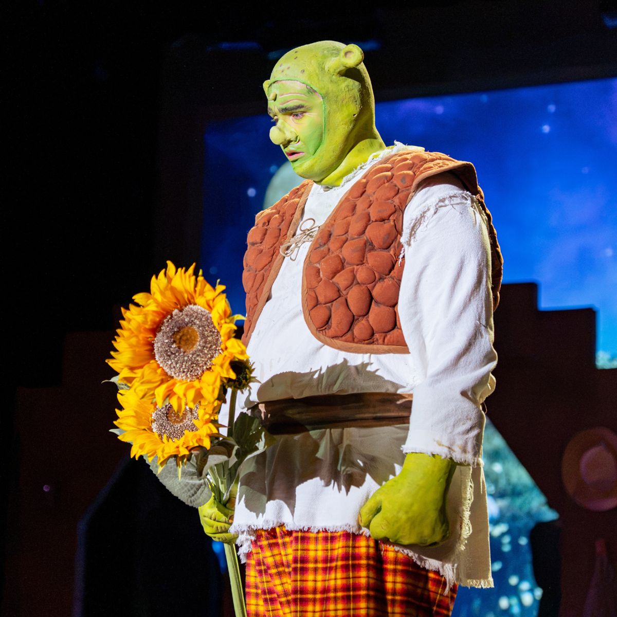 Matthew Robison as Shrek