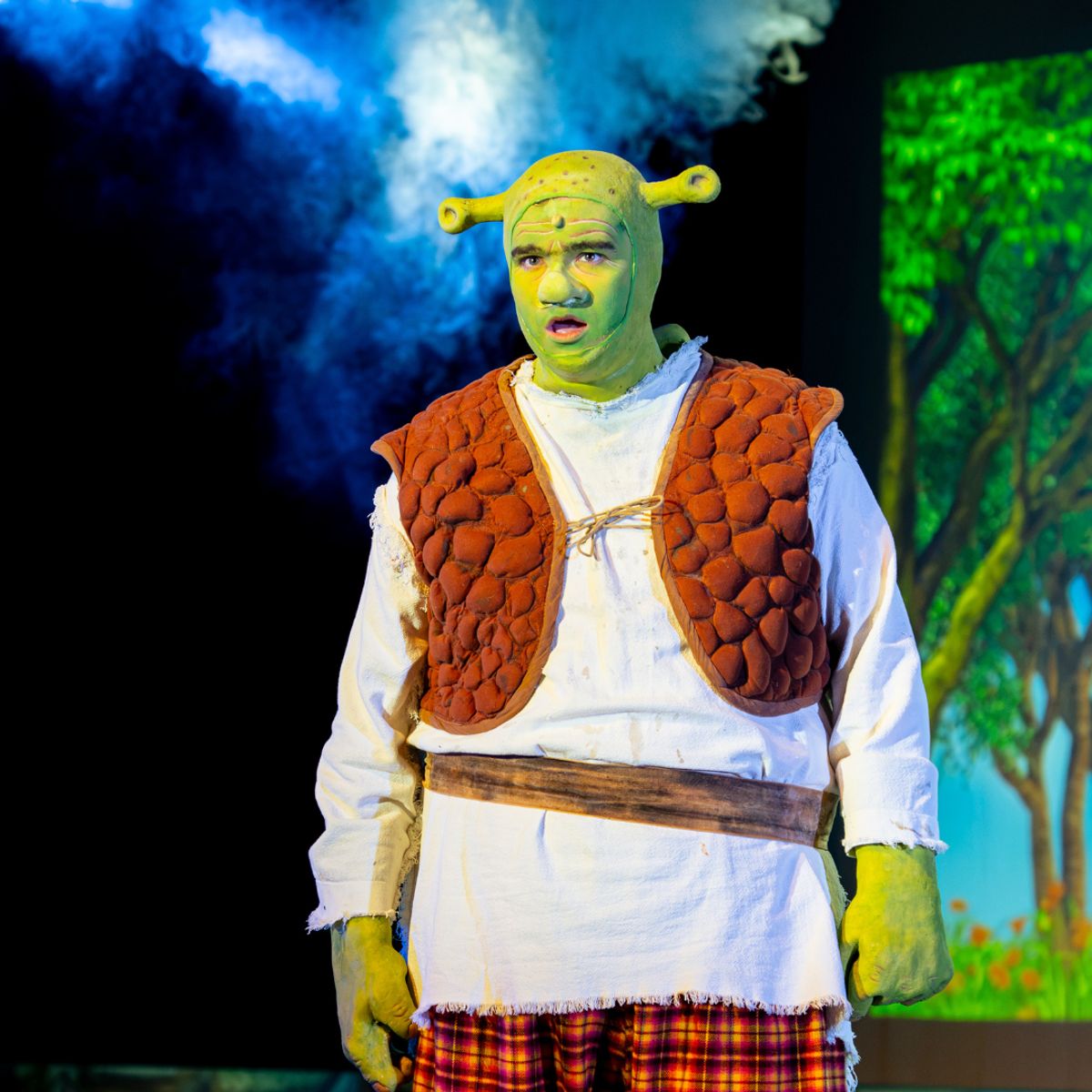 Matthew Robison as Shrek