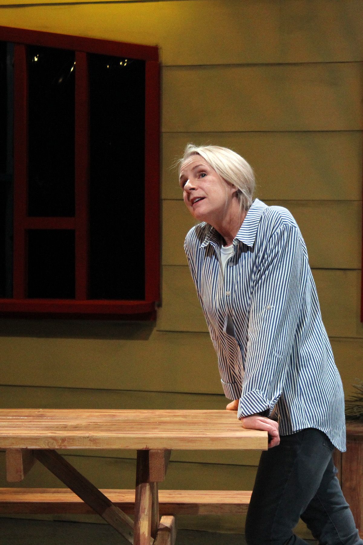 Suzi Regan in the Michigan Premiere of "Wild Horses" by Allison Gregory at the Williamston Theatre. Suzi Regan in the Michigan Premiere of "Wild Horses" by Allison Gregory at the Williamston Theatre.