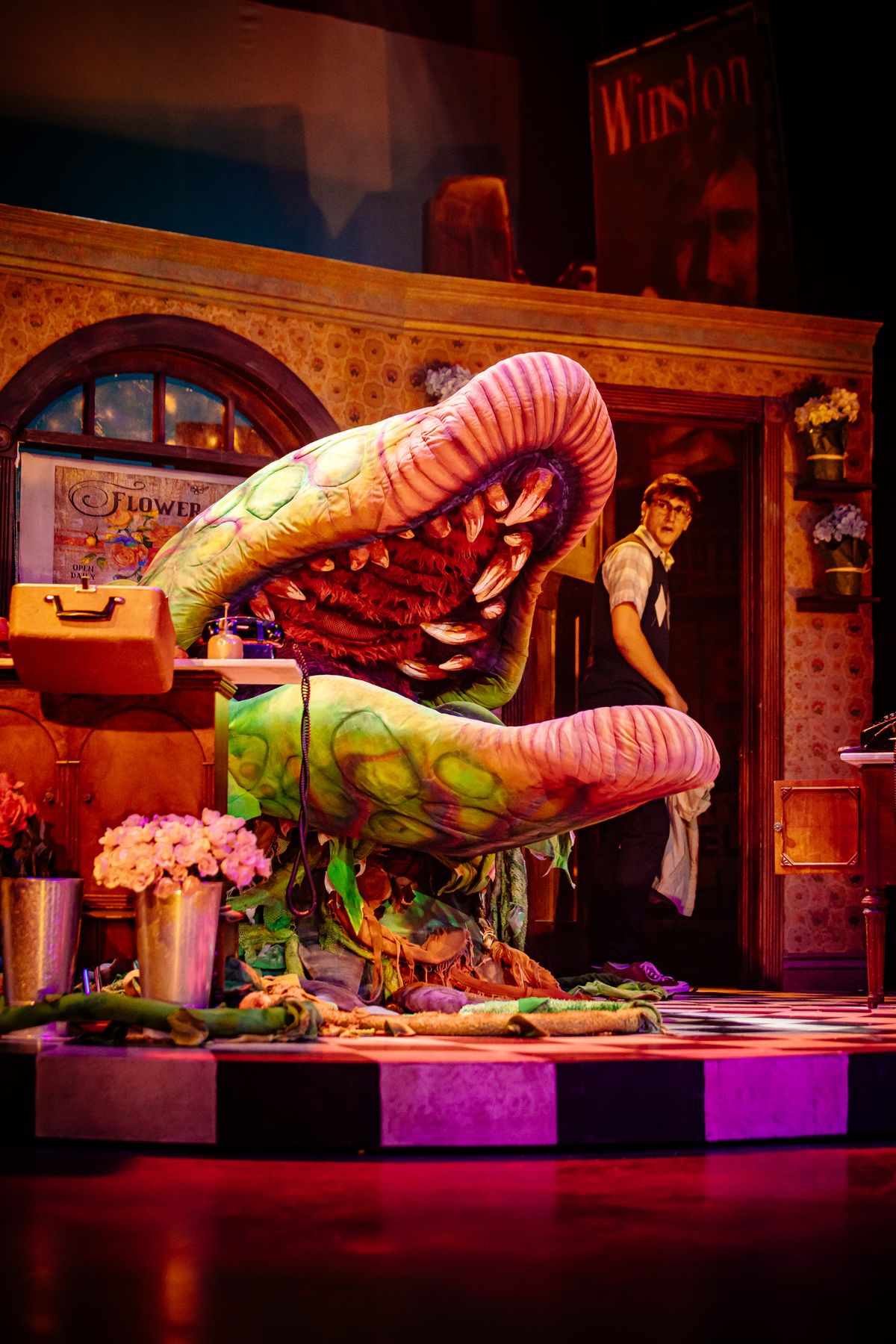Tyler J. Messinger (Vaughn Louks - puppeteer, William Scott Davison - voice of Audrey II)  Photo by Michele Anliker