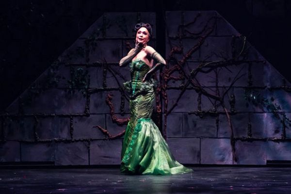 Diana Degarmo as The Witch 2