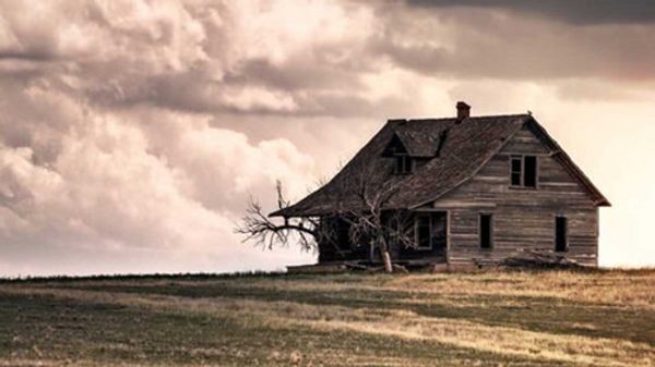 CURSE OF THE STARVING CLASS
Sam Shepard
June 11 - June 26 1