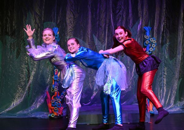 Octopus's Coral garden 5