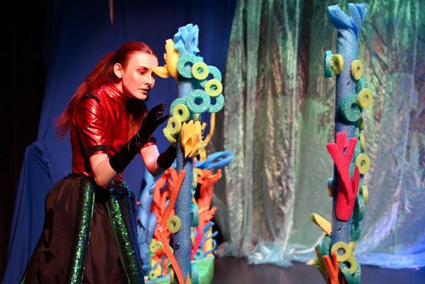 Octopus's Coral garden 1