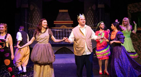 Full Cast photo of previous Panto 1