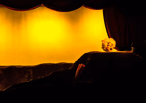 Roxanne Fay as Winnie in Samuel Beckett's HAPPY DAYS for Bridge Street Theatre in Catskill. Photo by Ned's Event Photography 5