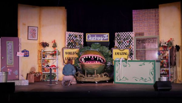Seymour with Audrey II 11