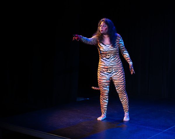 Empty Night at the Z Fringe Festival, 2026 (Virginia Beach, VA, USA)    Photo: Joshua Stubbs 8