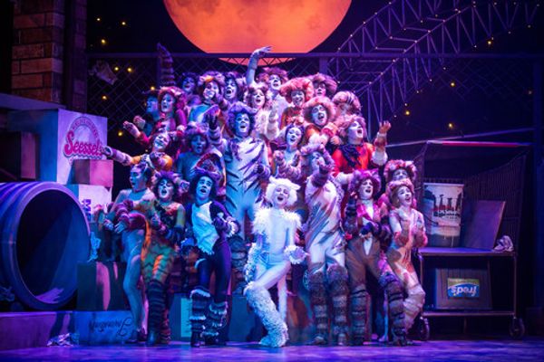 Production photos by Carla McDonald 1