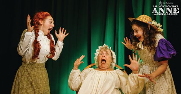 Anne and Diana startle Aunt Josephine. Photo by Iryna Photography 6