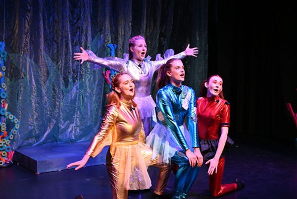 Octopus's Coral garden 2