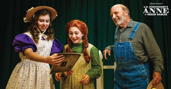 Anne gets good news from her best friend Diana while Matthew looks on. Photo by Iryna Photography 3