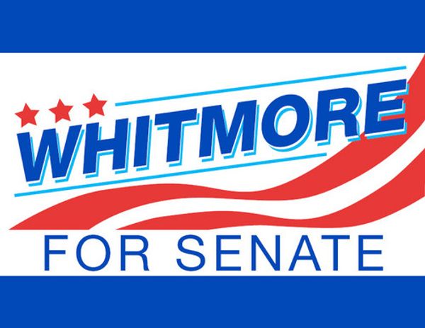 election poster. credit: Amanda Nelson 1