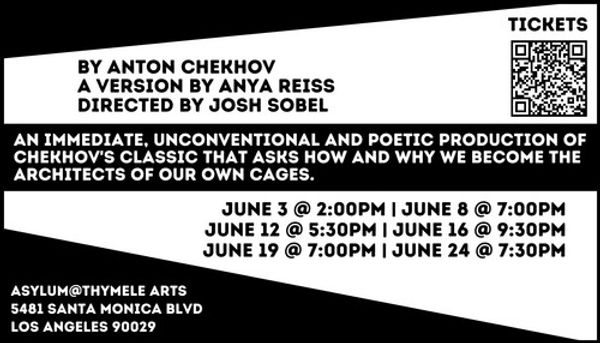 THE SEAGULL - Card Back 3