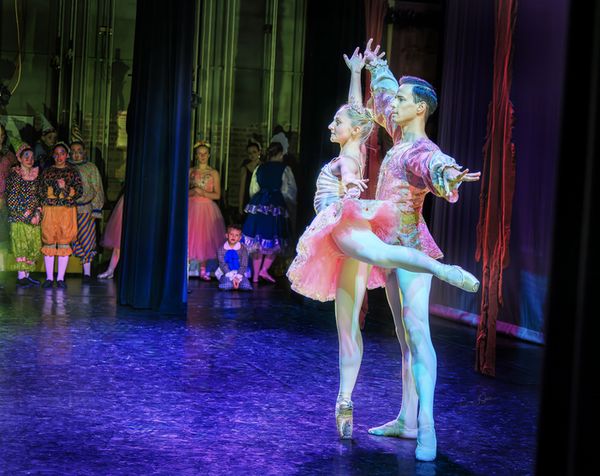 Drosselmeyer and the Forest Fairies 5