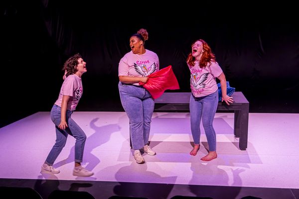 STORKED by Myf Hocking at Theatre Works. Photography: Angel Leggas 3 Fates Media 1