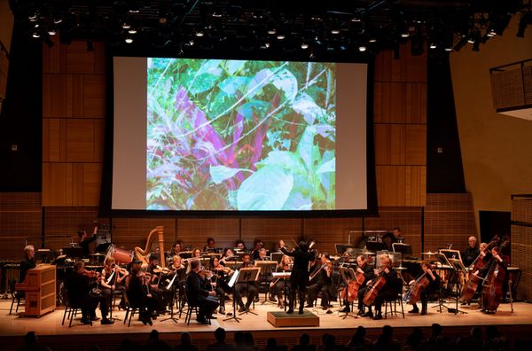 (L-R) The American Composers Orchestra - Edward W. Hardy, Chrystal E. Williams, Felipe Hostins, and Rei Hotoda, 2024. 5