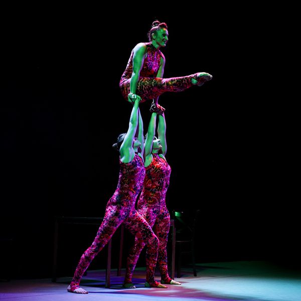 Photo: Merryn Novelle Photography 1