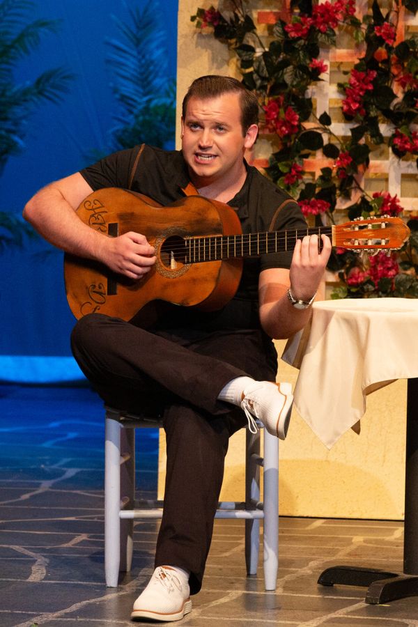 Luc Vandenbroek as Harry Bright in MAMMA MIA! 1